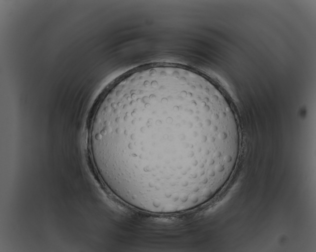 X0000094801125200711160934