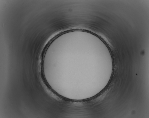 X0000094801126200711160934