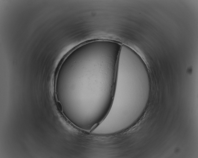 X0000094801128200711160934