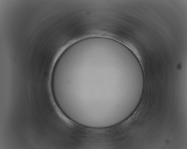 X0000094801136200711160934