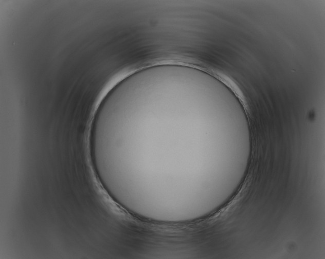 X0000094801138200711160934