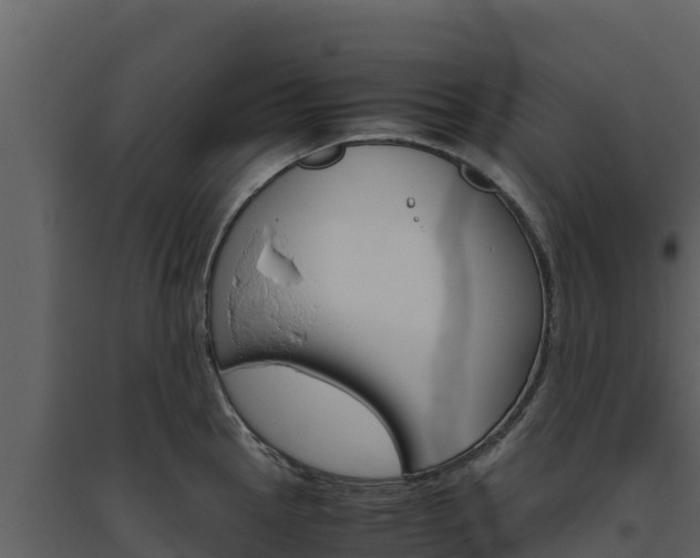 X0000094801145200711160934