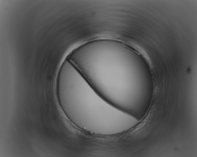 X0000094801146200711160934