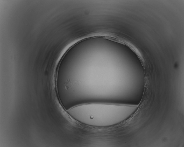 X0000094801148200711160934