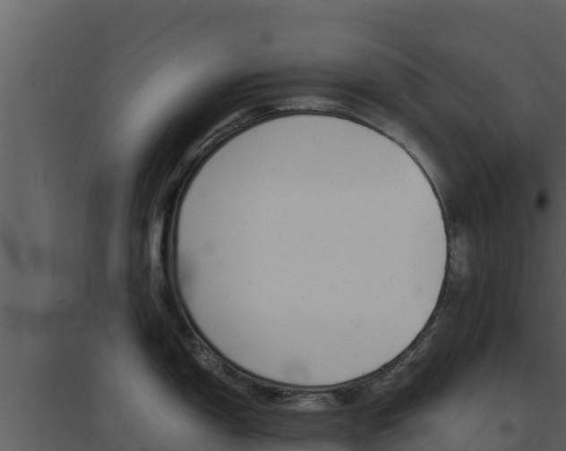 X0000094801150200711160934