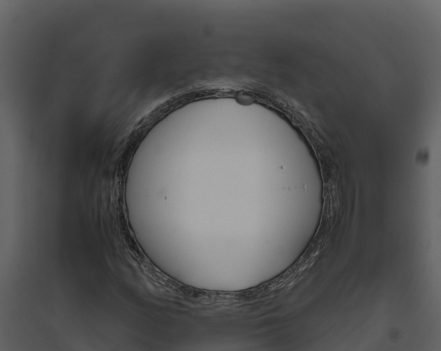 X0000094801158200711160933