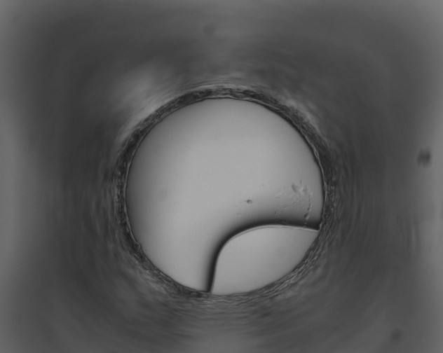 X0000094801159200711160933