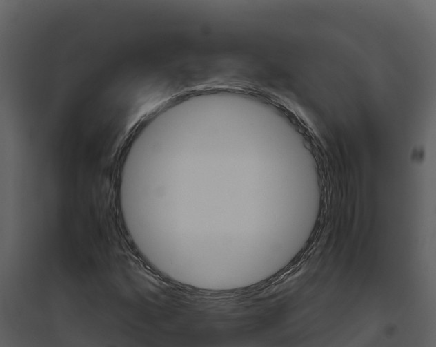 X0000094801160200711160933