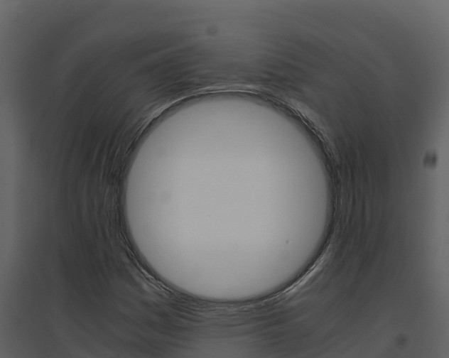 X0000094801161200711160933