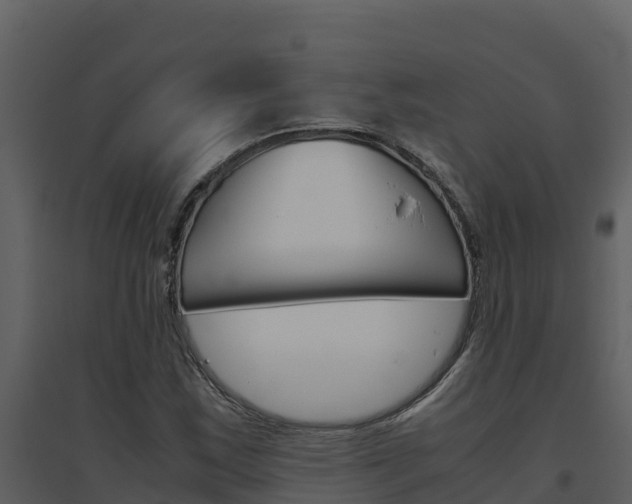 X0000094801163200711160933