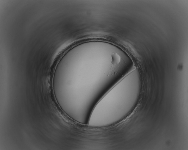 X0000094801164200711160933