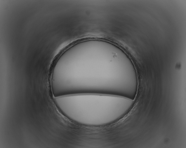 X0000094801168200711160933