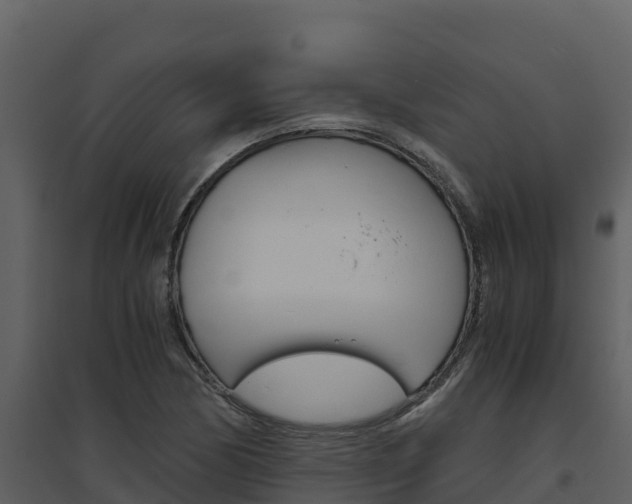 X0000094801170200711160933