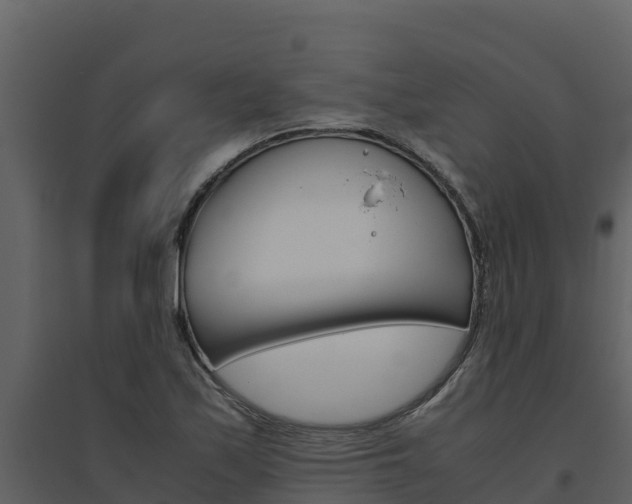 X0000094801171200711160933