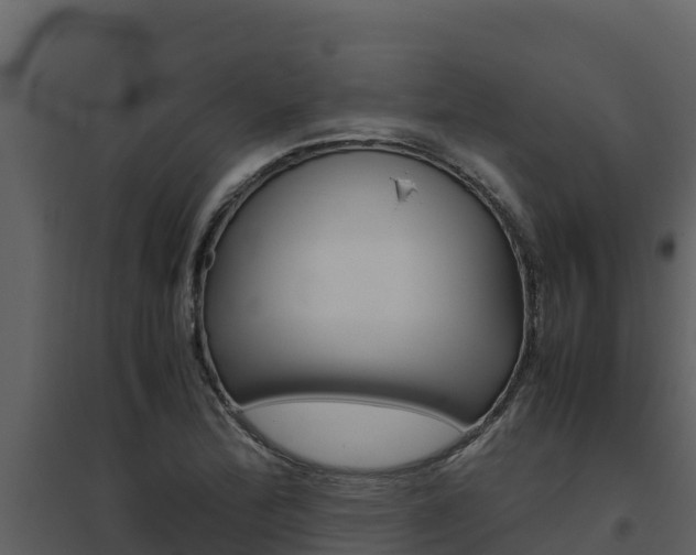 X0000094801172200711160933