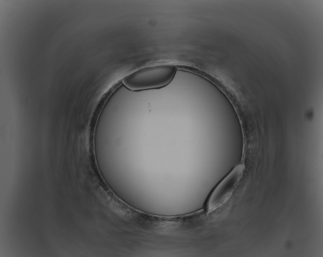 X0000094801173200711160933