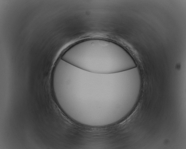 X0000094801174200711160933