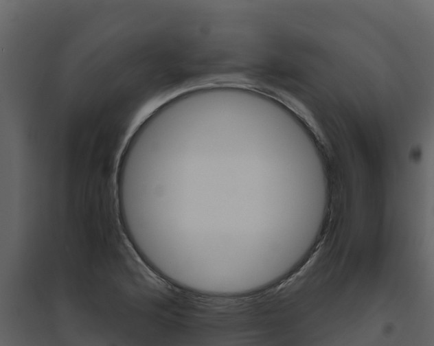 X0000094801176200711160933