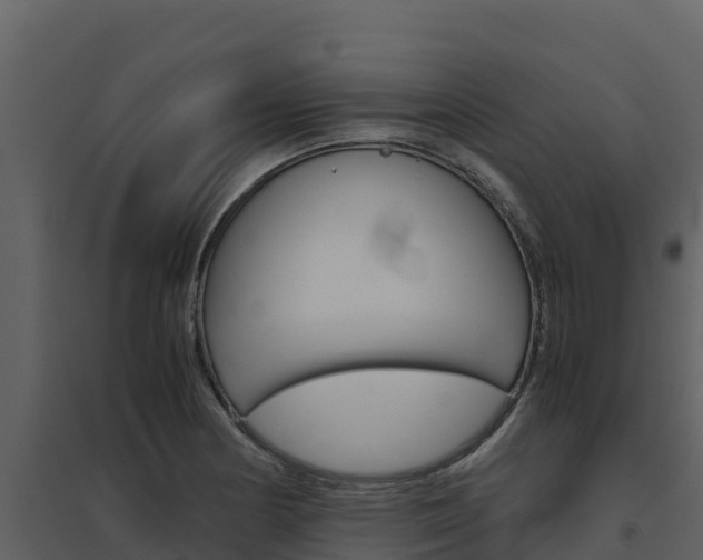 X0000094801178200711160933
