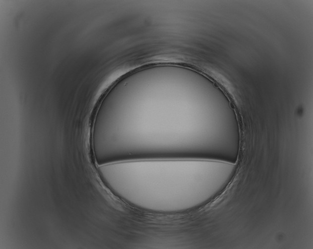 X0000094801179200711160933