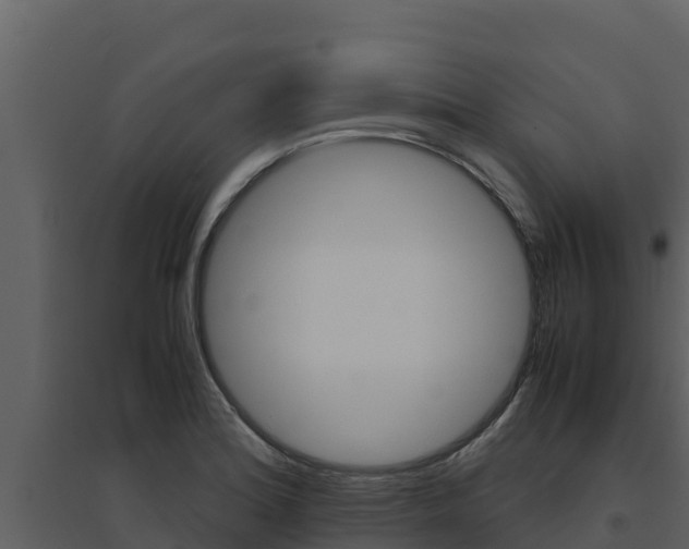 X0000094801180200711160933