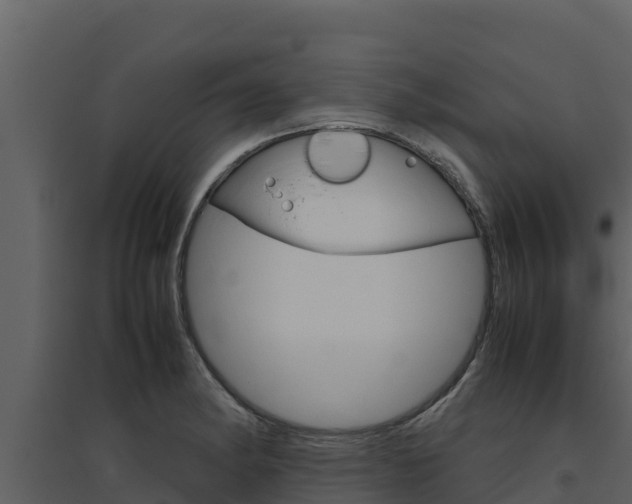 X0000094801182200711160933