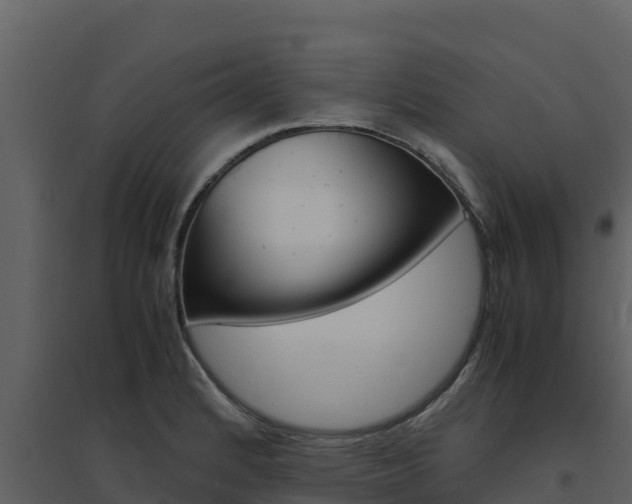 X0000094801184200711160933