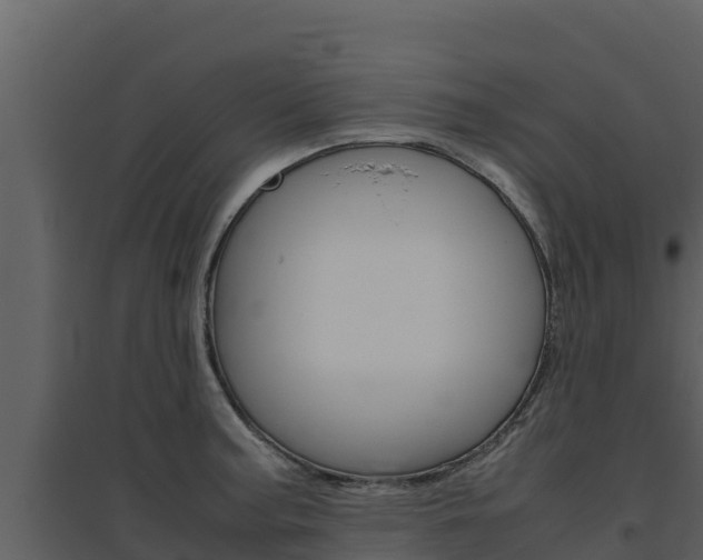 X0000094801187200711160933