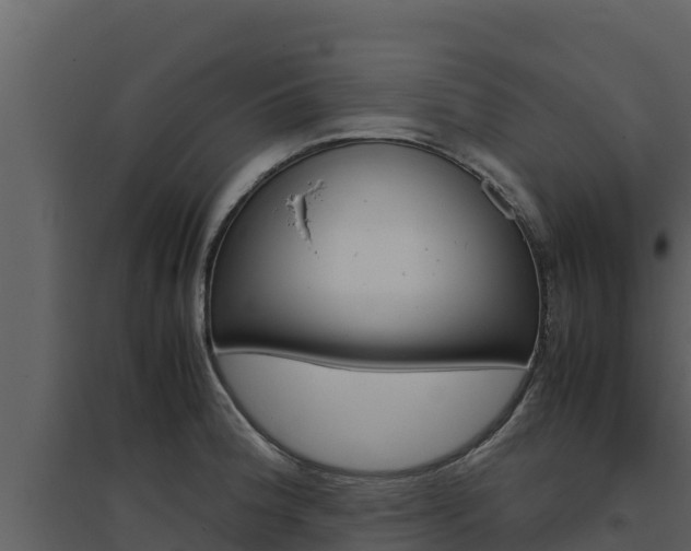 X0000094801188200711160933