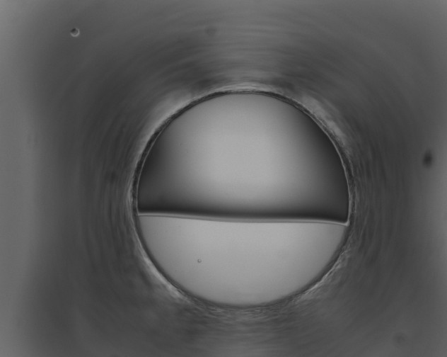 X0000094801189200711160933