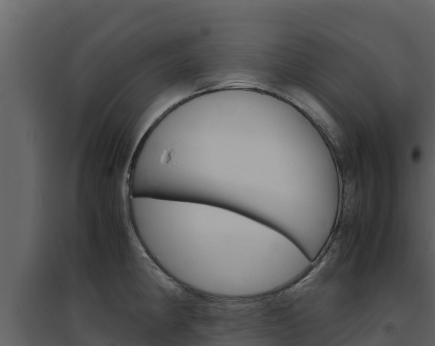 X0000094801190200711160933