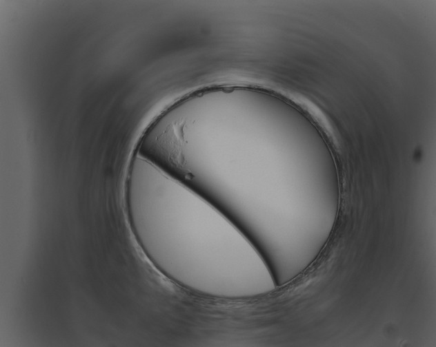 X0000094801191200711160933