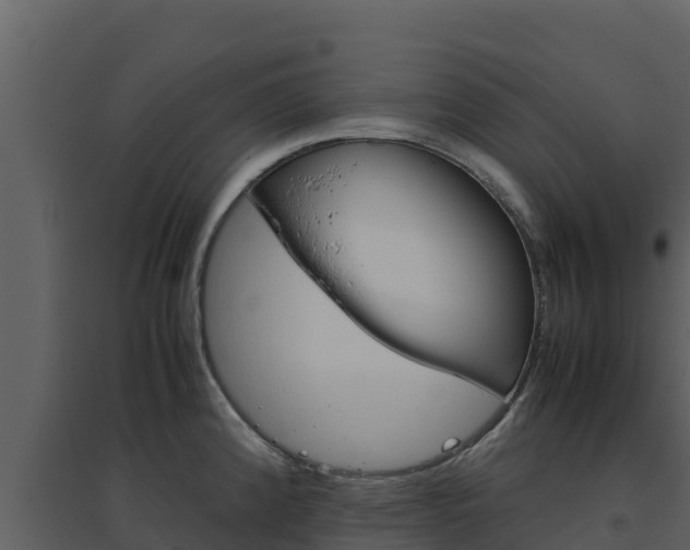 X0000094801192200711160933