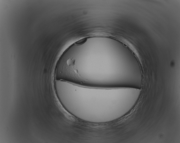 X0000094801195200711160933