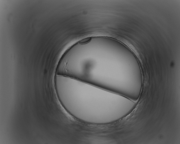 X0000094801197200711160933