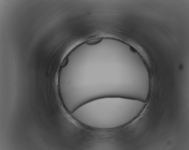 X0000094801198200711160933