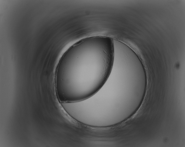 X0000094801200200711160933