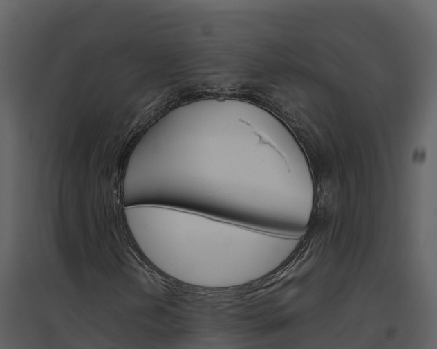 X0000094801202200711160932