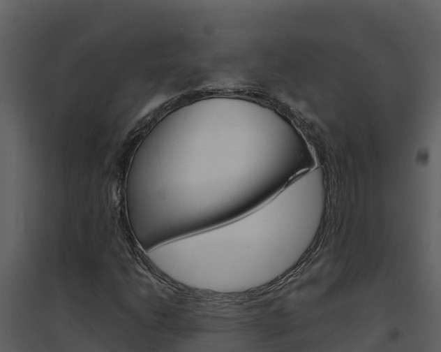 X0000094801206200711160932