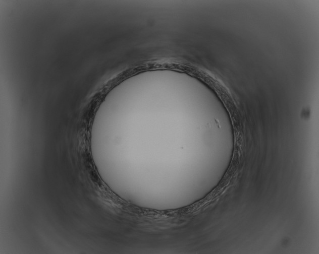 X0000094801207200711160932