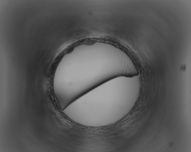 X0000094801208200711160932
