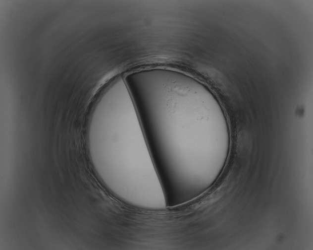 X0000094801210200711160932