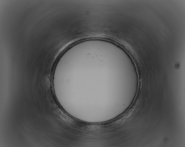 X0000094801212200711160932