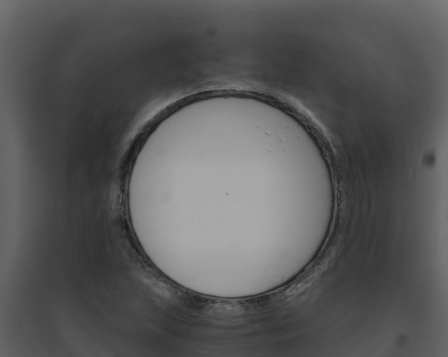X0000094801215200711160932
