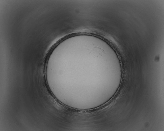 X0000094801216200711160932