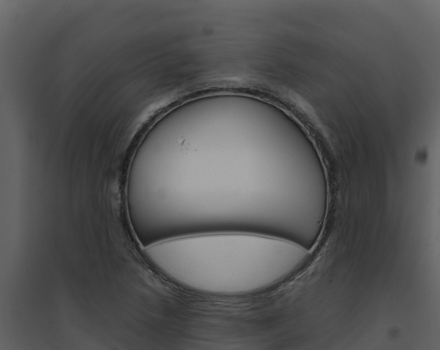 X0000094801218200711160932