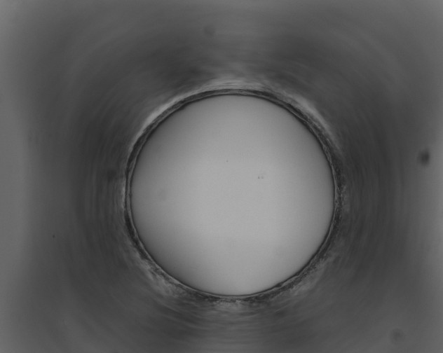 X0000094801220200711160932