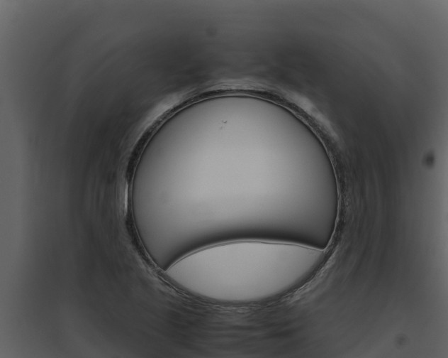 X0000094801221200711160932