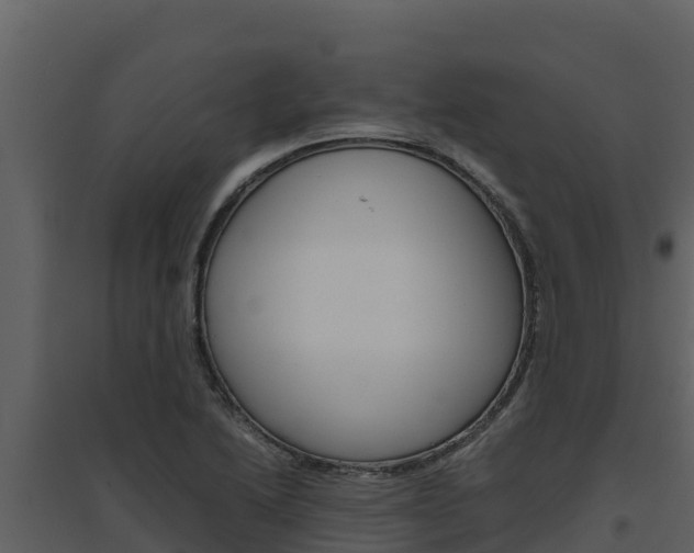 X0000094801222200711160932
