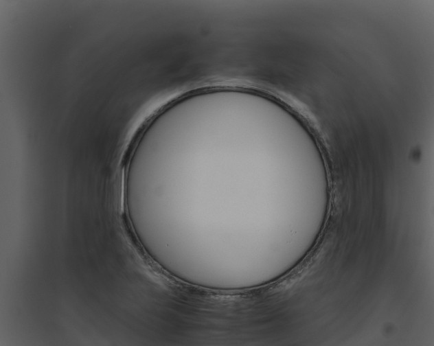 X0000094801223200711160932